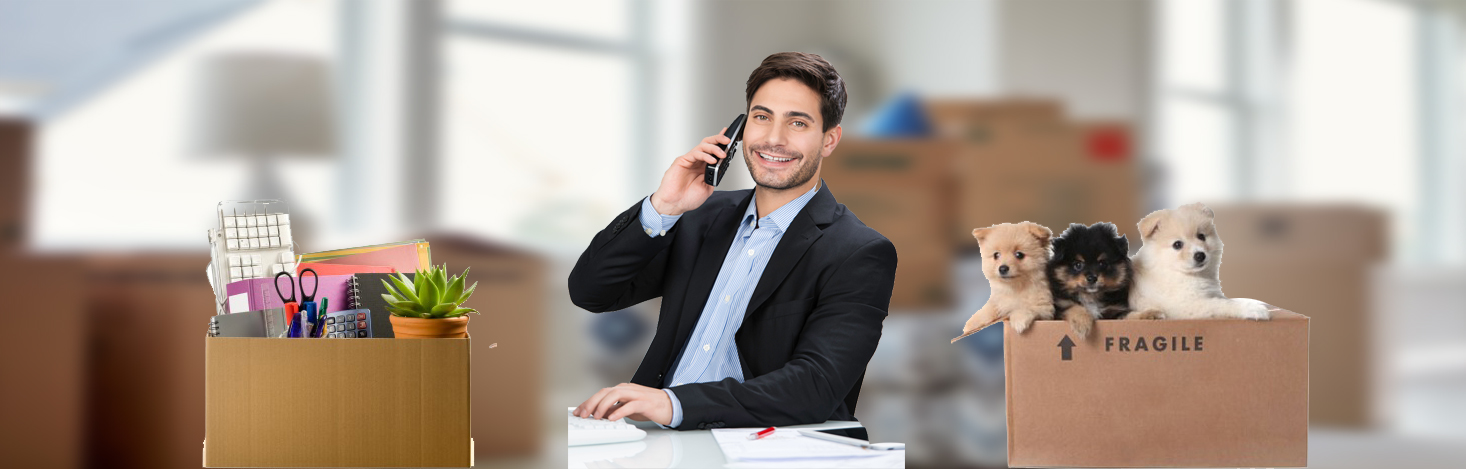 deluxe home packers and movers